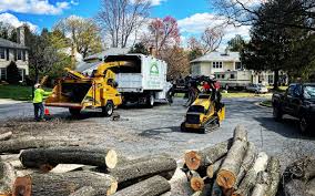 Best Firewood Processing and Delivery  in Scotia, NY