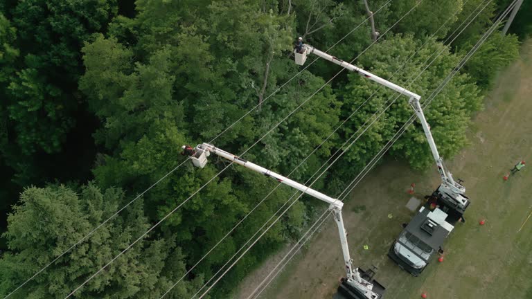 Best Seasonal Cleanup (Spring/Fall)  in Scotia, NY